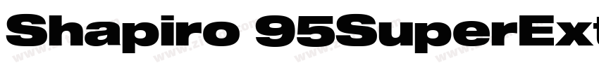 Shapiro 95SuperExtd字体转换 Shapiro 95SuperExtd字体转换